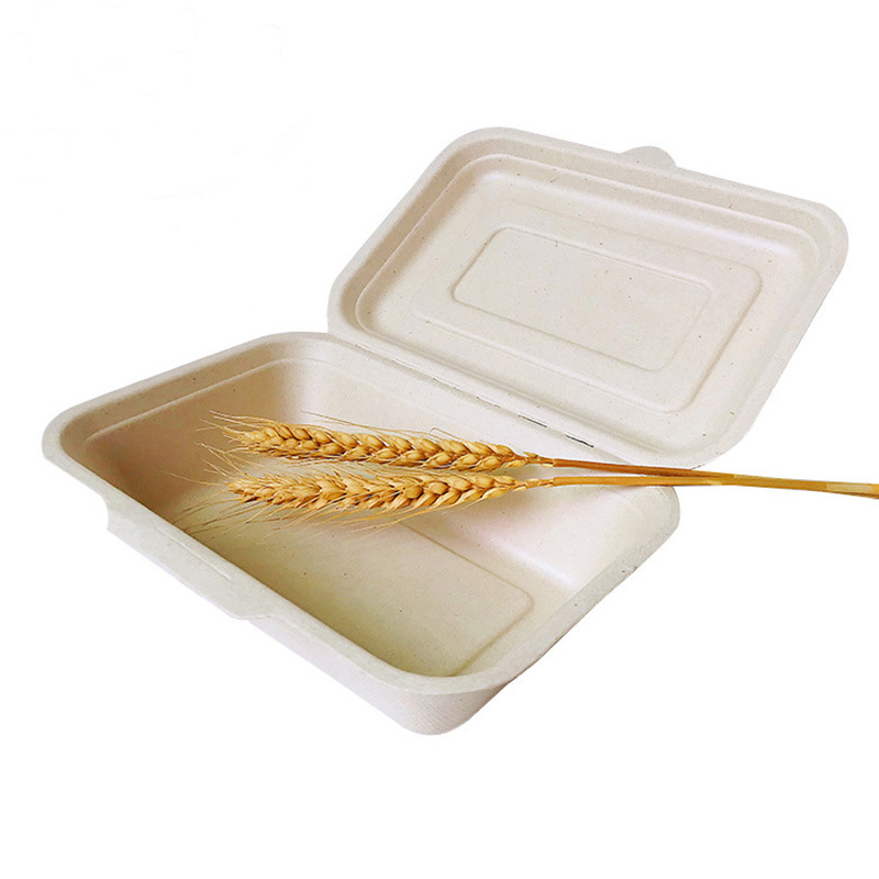 biodegradable product chinese food bento takeout take away clamshell large sugarcane bagasse pulp lunch box with lid