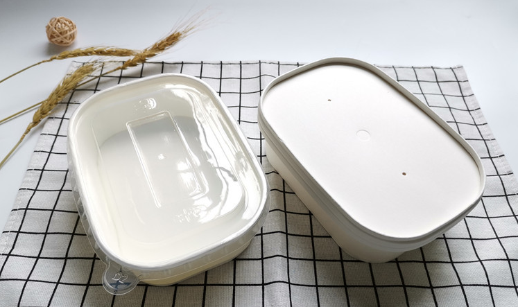 Eco Friendly Waterproof And Oil 100% Compostable Square Rectangular Salad Bowls With Lid