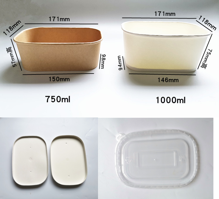 Eco Friendly Waterproof And Oil 100% Compostable Square Rectangular Salad Bowls With Lid