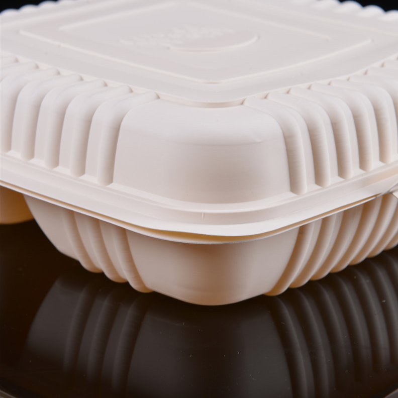 100% Biodegradable Disposable Takeaway 2 Compartment Lunch Box Clamshell