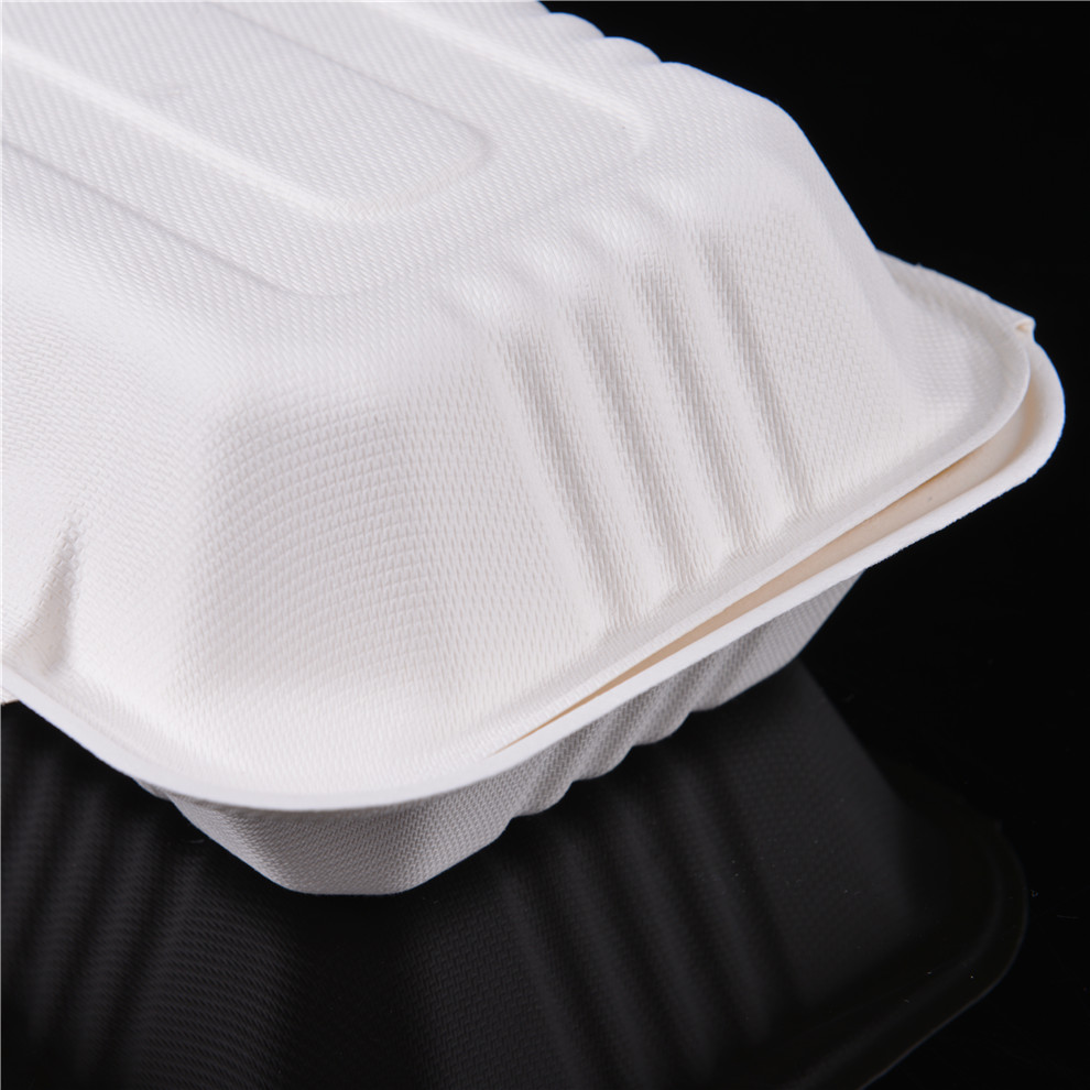 Best Sale Biodegradable Bagasse Clamshell Box Disposable Takeaway Plate Sugarcane Food Container