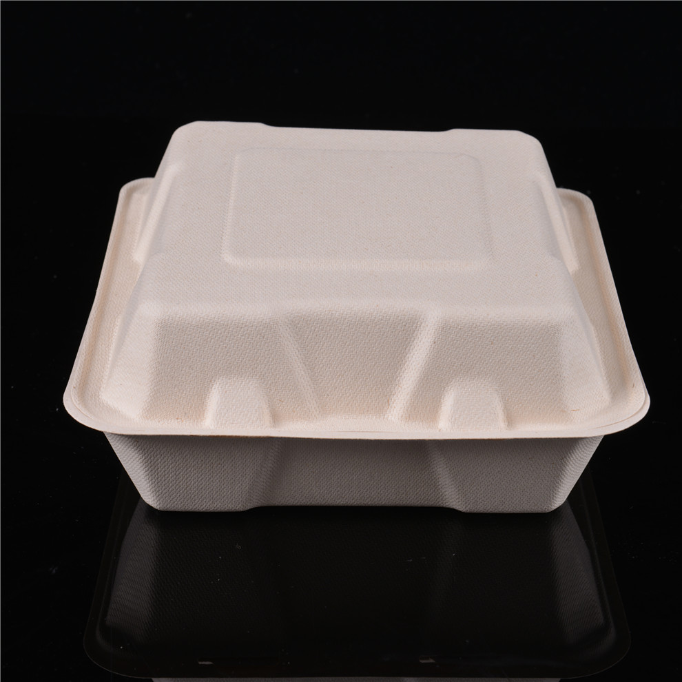 biodegradable product chinese food bento takeout take away clamshell large sugarcane bagasse pulp lunch box with lid