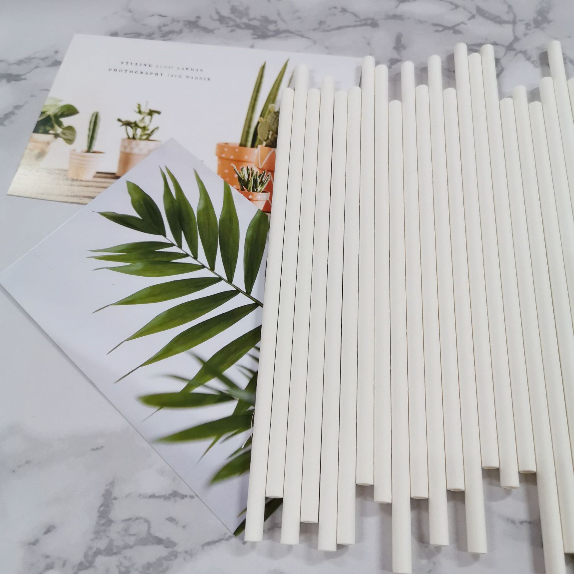 High Quality Manufacturers Kraft Straws Decorative Plain White Paper Straw Rolls 6MM*197MM