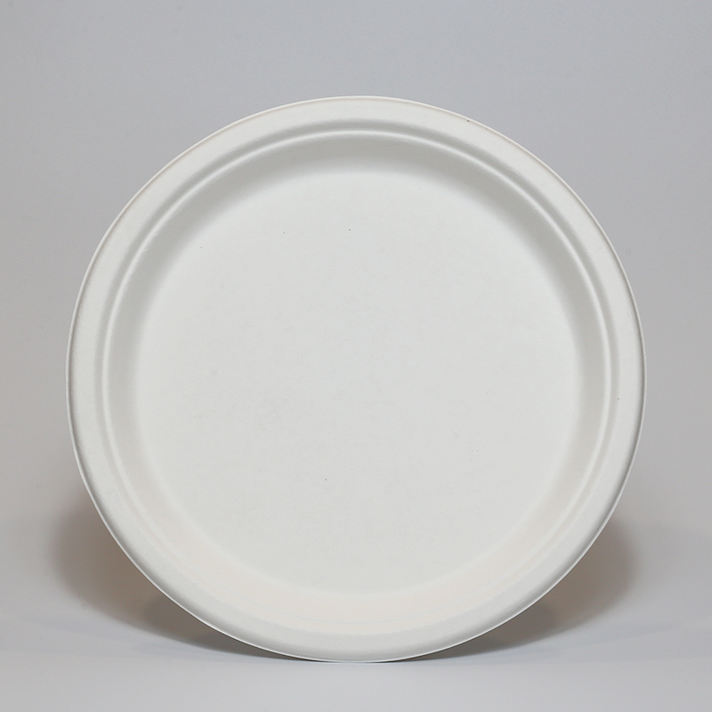 Customizable 9" Sturdy Microwavable Eco Sugarcane Bagasse Biodegradable Paper Plates Bulk Disposable Plates 9 Inch