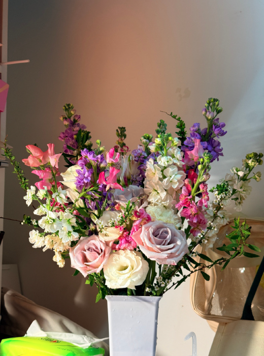 ScreenShot_2026-01-28_092639_097