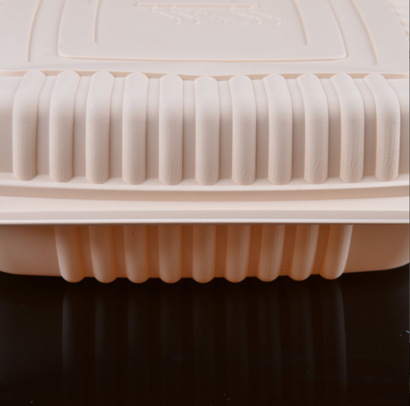 100% Biodegradable Disposable Takeaway 2 Compartment Lunch Box Clamshell