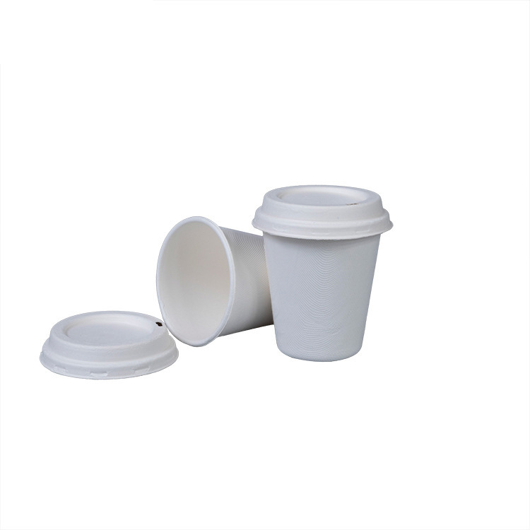 Disposable Biodegradable Sugarcane Tableware Compostable Hot Drink Coffee Cups