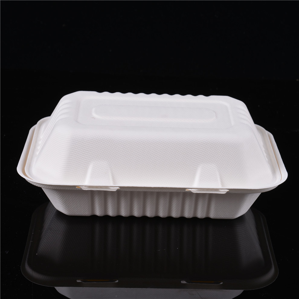 Best Sale Biodegradable Bagasse Clamshell Box Disposable Takeaway Plate Sugarcane Food Container