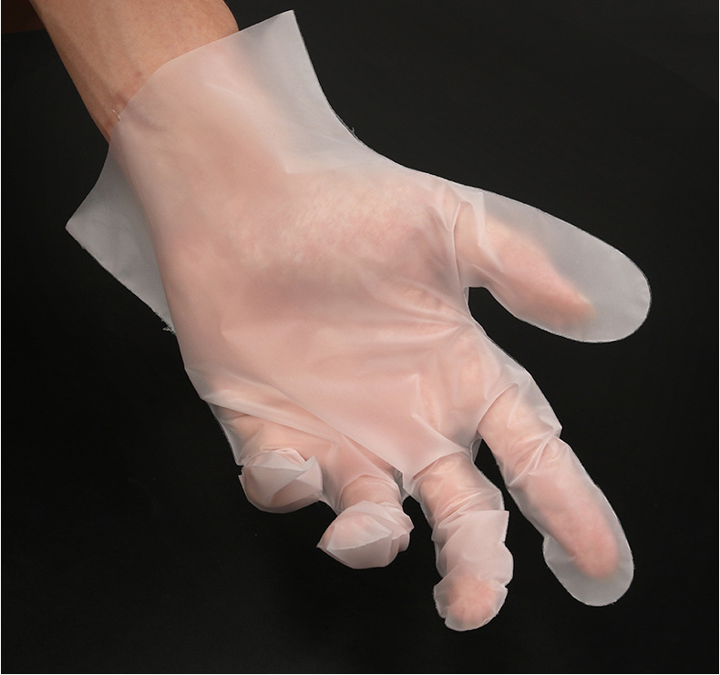 Stretchable Plastic Care Plus Powder Free Hybrid Food Safe Disposable TPE Hybrid Food Service Gloves 