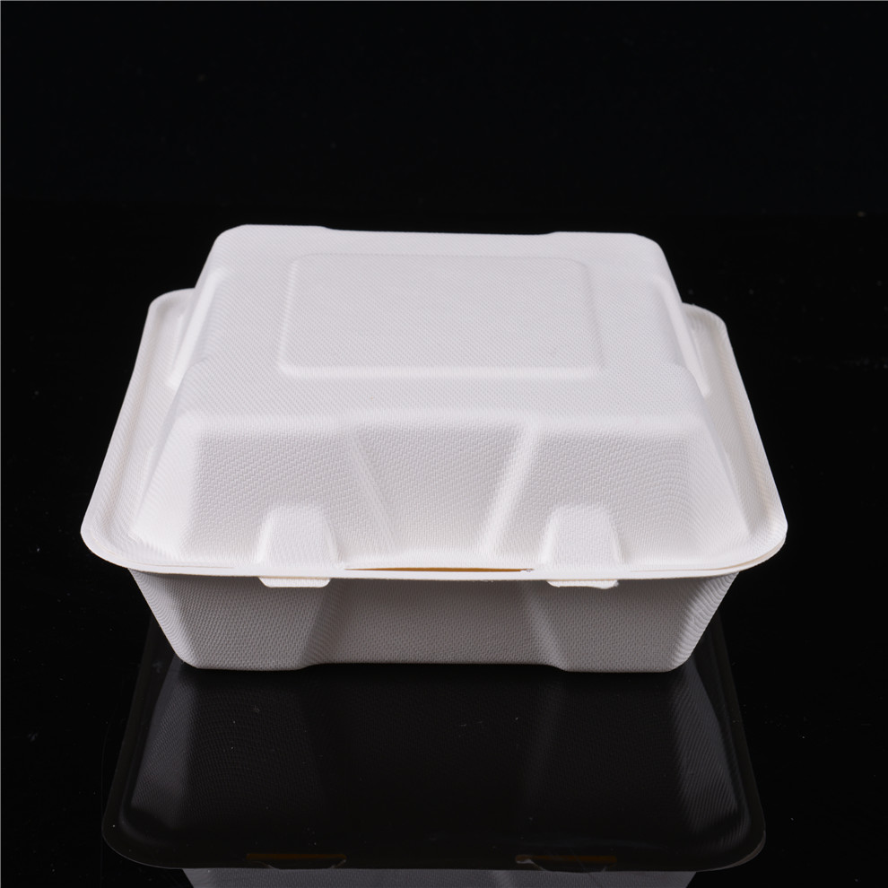 biodegradable product chinese food bento takeout take away clamshell large sugarcane bagasse pulp lunch box with lid