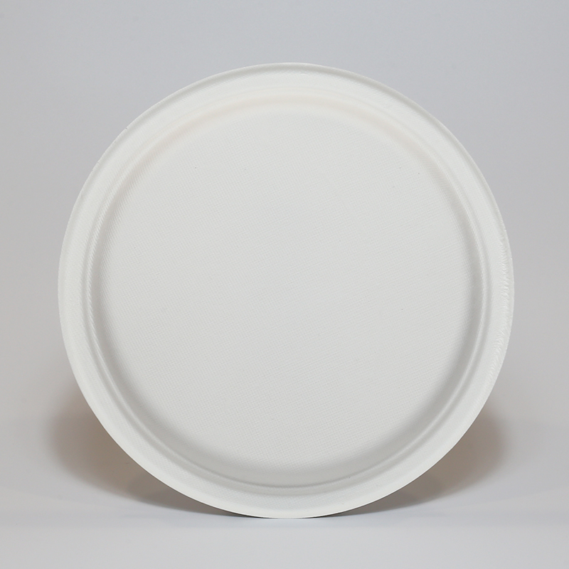 Customizable 9" Sturdy Microwavable Eco Sugarcane Bagasse Biodegradable Paper Plates Bulk Disposable Plates 9 Inch