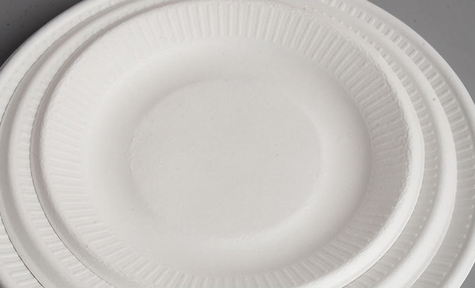 Customizable 9" Sturdy Microwavable Eco Sugarcane Bagasse Biodegradable Paper Plates Bulk Disposable Plates 9 Inch